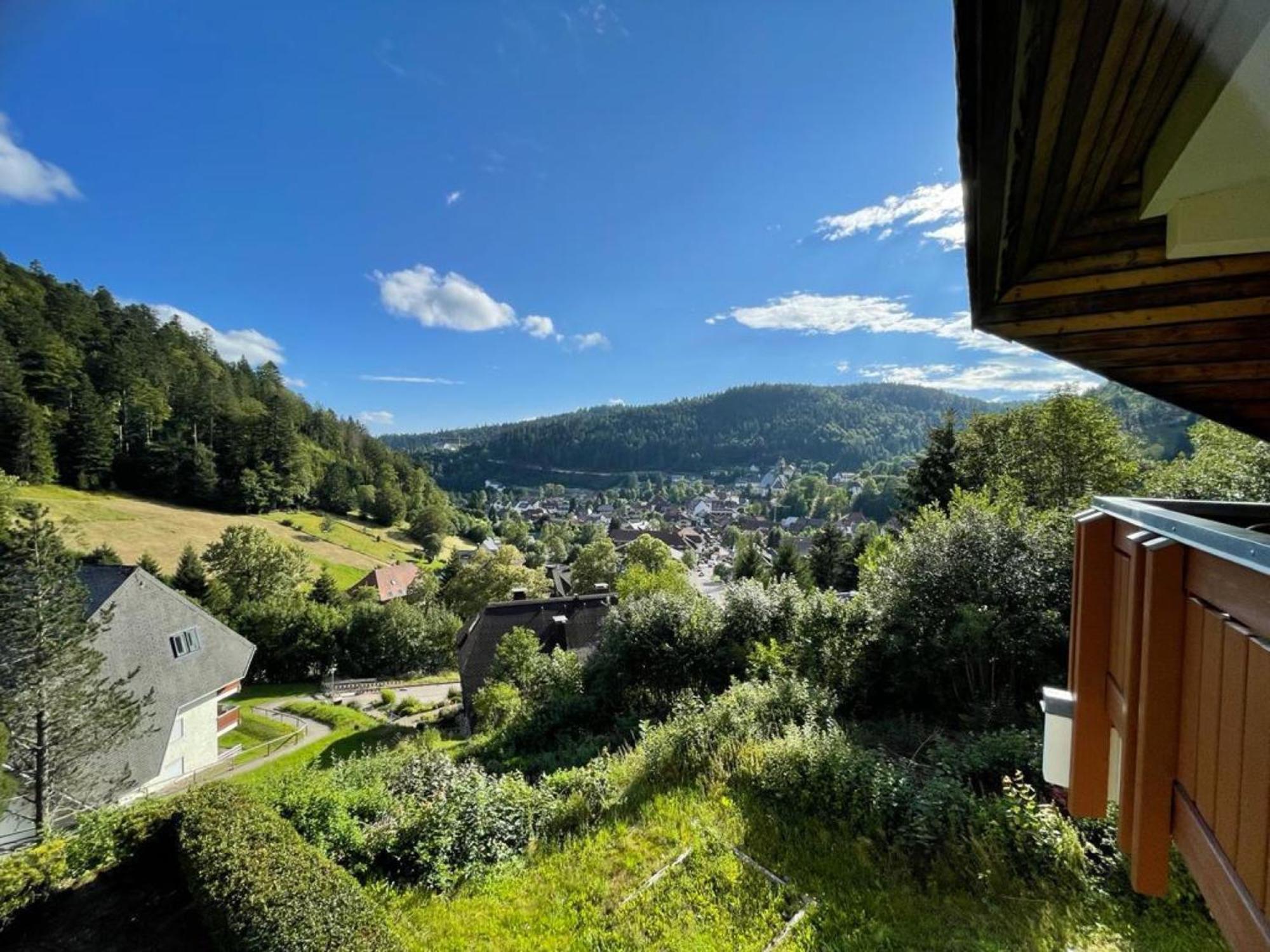 Panorama Apartment Todtmoos Luaran gambar
